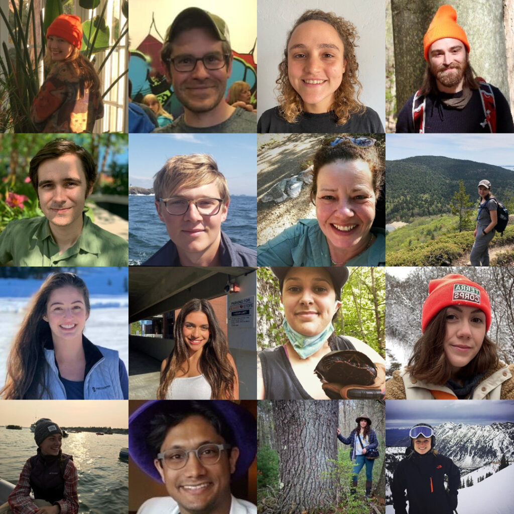 2021 ALPINE Summer Institute Participants