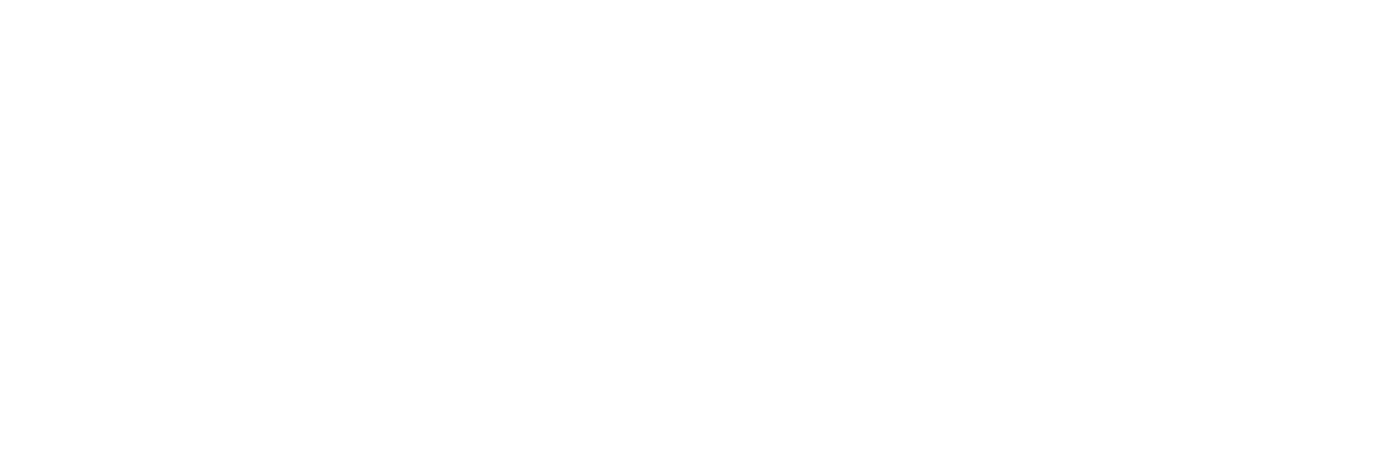 ALPINE logo - white
