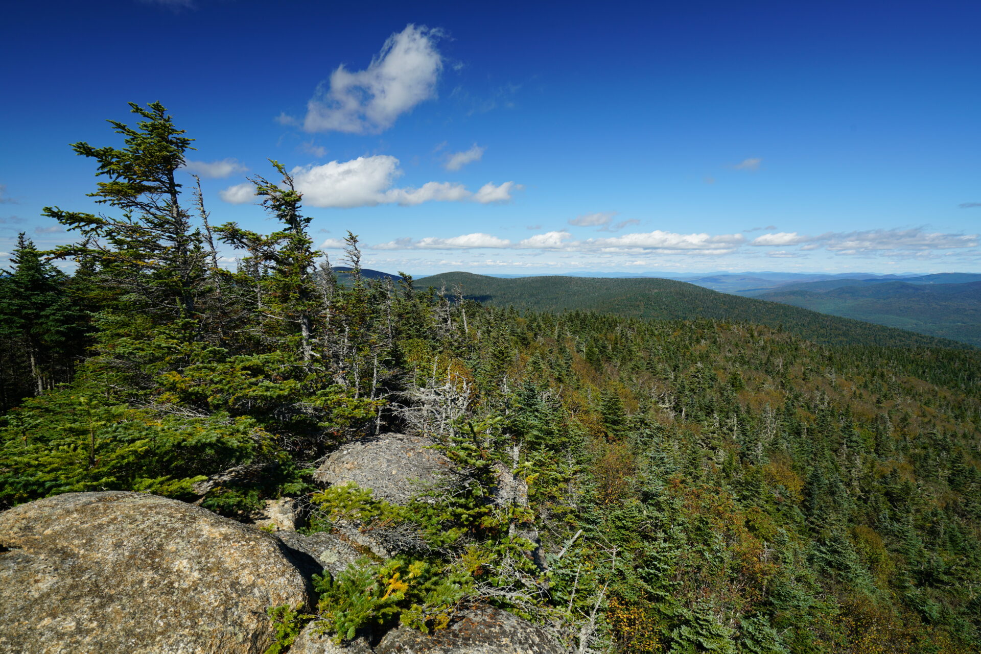 Vickie Bunnell Preserve: New Hampshire - Wildlands & Woodlands