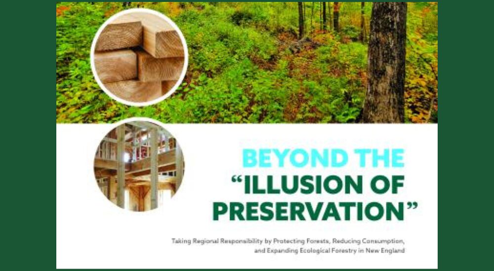 A new report released today highlights the opportunity for New England to dramatically expand forest protections and sustainably meet the region’s w